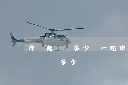 律師起訴狀多少錢一份(律師寫一個(gè)訴訟狀多少錢)