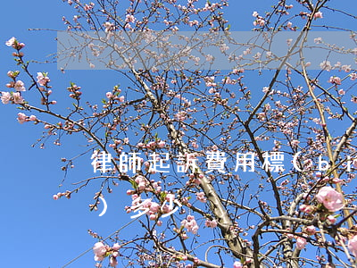 律師起訴費用標(biāo)準(zhǔn)多少