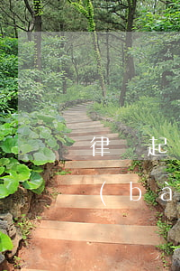律師起訴違法建筑怎么舉報(bào)(舉報(bào)違法建筑的舉報(bào)信怎么寫)