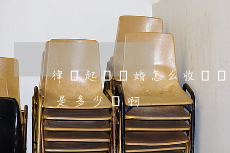 律師起訴離婚怎么收費(離婚起訴律師費一般是多少錢啊)