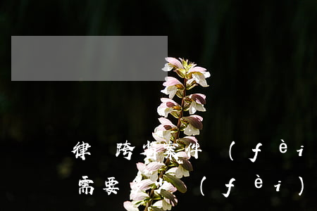 律師跨省案件費(fèi)用多少(跨省起訴需要多少費(fèi)用)