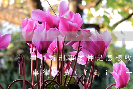 律師辦刑事案件是怎樣收費(fèi)的(刑事律師費(fèi)一般怎么收費(fèi)標(biāo)準(zhǔn))