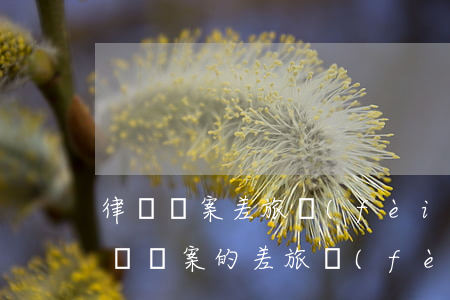律師辦案差旅費(fèi)如何收取(委托律師辦案的差旅費(fèi))