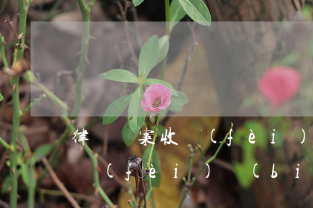 律師辦案收費(fèi)怎么收(律師辦案收費(fèi)標(biāo)準(zhǔn))