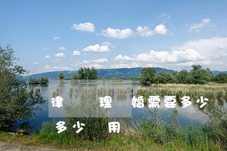 律師辦理離婚需要多少費用(離婚找律師需要多少費用)