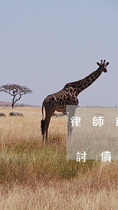 律師追債怎么收服務(wù)費(fèi)(討債官司律師費(fèi)要多少)