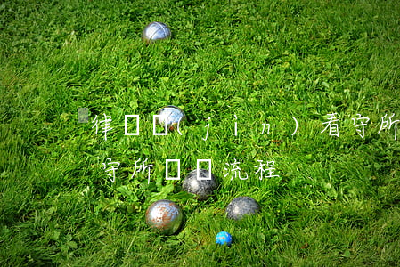 律師進(jìn)看守所會見流程(律師到看守所會見流程)