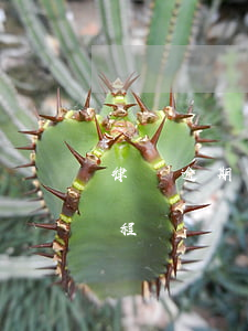 律師逾期半年起訴流程(律師逾期半年起訴流程)