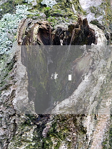 律師逾期會(huì)起訴嗎(逾期了會(huì)收到律師函嗎)