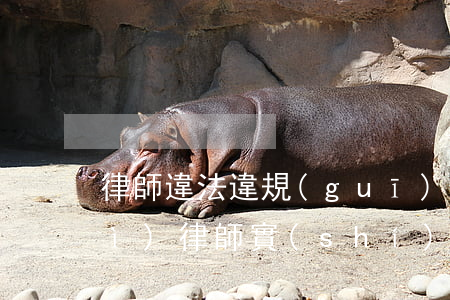 律師違法違規(guī)的心得體會(huì)(律師實(shí)務(wù)心得體會(huì)3000字)