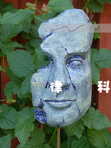 律師選科需要哪三科(律師必選科目3 1 2)