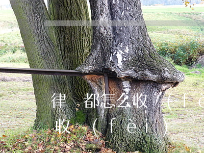 律師都怎么收費(fèi)的(一般律師怎么收費(fèi))