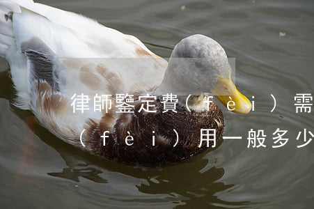 律師鑒定費(fèi)需要多少(法院鑒定費(fèi)用一般多少)