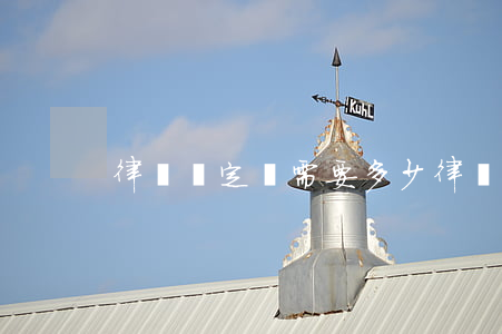 律師鑒定費需要多少(律師鑒定費需要多少)
