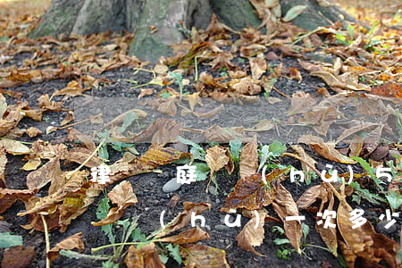 律師開庭辯護(hù)5天多少錢(律師出庭辯護(hù)一次多少錢)