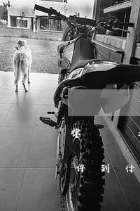 律師閱卷后多久可以開庭(律師可以閱卷了案件到什么地步了)