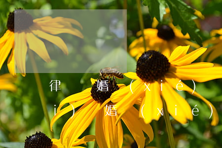 律師離婚協(xié)議書怎么收費(fèi)(離婚協(xié)議叫律師寫多少費(fèi)用)