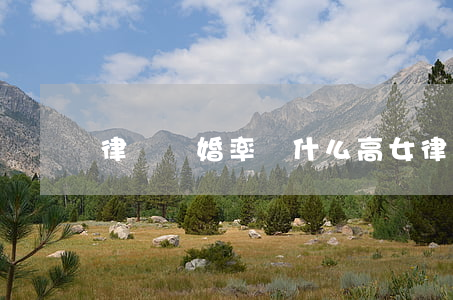 律師離婚率為什么高(女律師容易離婚)