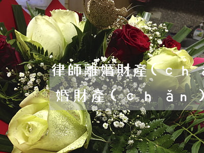 律師離婚財產(chǎn)分割收費標準(離婚財產(chǎn)分割律師)