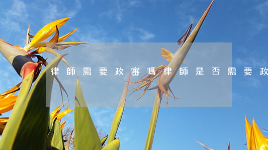 律師需要政審嗎(律師是否需要政審)