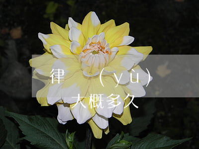 律師預(yù)約會見要等20多天(律師會見大概多久)