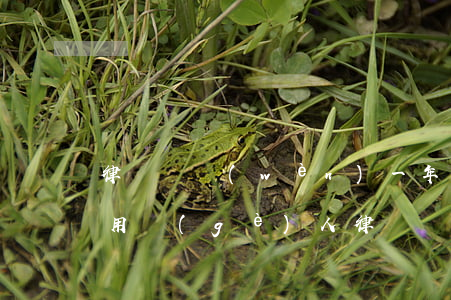 律師顧問(wèn)一年多少費(fèi)用(個(gè)人律師顧問(wèn)一年收費(fèi)標(biāo)準(zhǔn))