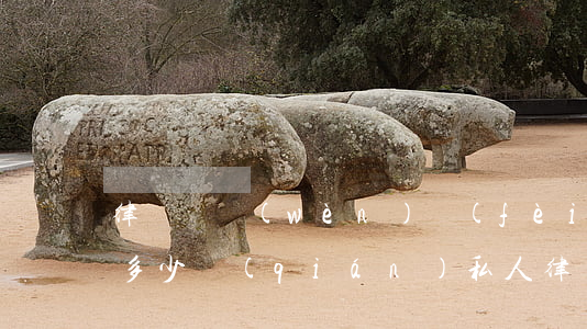 律師顧問(wèn)費(fèi)一般一年多少錢(qián)(私人律師顧問(wèn)一年收費(fèi)標(biāo)準(zhǔn))