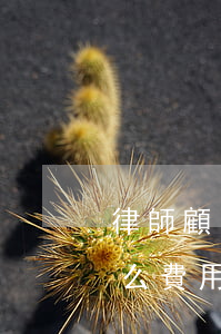律師顧問費屬于什么費用(律師顧問費屬于什么費用)