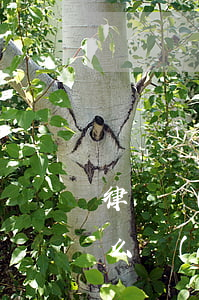 律師風(fēng)險(xiǎn)金額怎么計(jì)算(律師的費(fèi)用是怎樣計(jì)算)