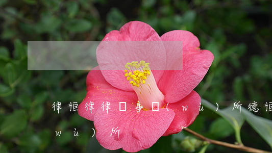 律恒律律師事務(wù)所(德恒律師事務(wù)所)