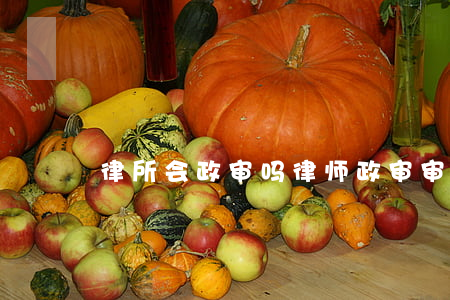 律所会政审吗(律师政审审什么)