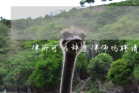 律所可以辞退律师吗(聘请律师后可以解聘吗)