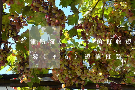律所發(fā)的催收短信是什么樣的(律所發(fā)短信催款)