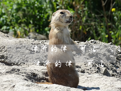 律所的律師可以當(dāng)法律顧問嗎(律所的律師可以當(dāng)法律顧問嗎)