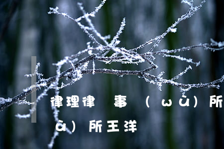 律理律師事務(wù)所(律理律師事務(wù)所 王洋)