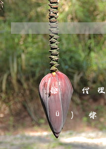 徐匯代理債務(wù)官司律師(徐匯區(qū)律師事務(wù)所民事訴訟排名)