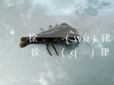 徐匯債務(wù)律師事務(wù)所 上海徐匯區(qū)律師事務(wù)所免費(fèi)咨詢