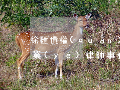 徐匯債權(quán)債務(wù)律師專業(yè)律師事務(wù)所-徐匯欠款律師