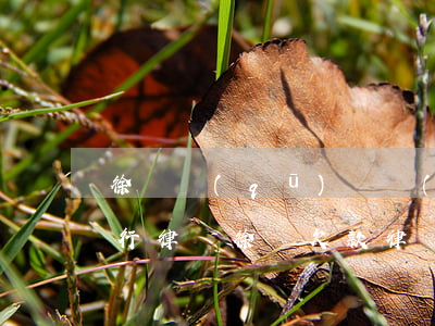 徐匯區(qū)債務(wù)執(zhí)行律師(徐匯欠款律師)