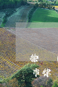 徐匯區(qū)律師事務所地址在哪里(上海市律師事務所電話號碼)