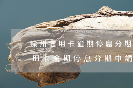 徐州信用卡逾期停息分期申請條件-徐州信用卡逾期停息分期申請條件是什么