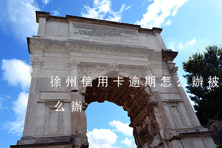 徐州信用卡逾期怎么辦(被抓了信用卡逾期怎么辦)