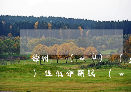 徐州債務(wù)優(yōu)化個(gè)性化分期服務(wù)費(fèi)用-債務(wù)優(yōu)化怎么收費(fèi)