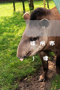 徐州市實力強(qiáng)的債務(wù)律師聯(lián)系方式-徐州市實力強(qiáng)的債務(wù)律師聯(lián)系方式電話