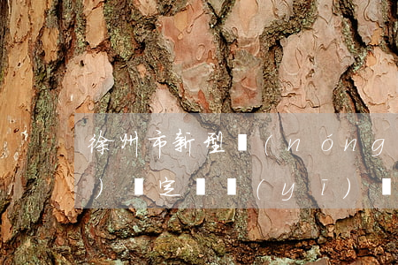 徐州市新型農(nóng)村合作醫(yī)療定點醫(yī)療服務(wù)合同