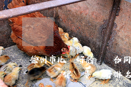 徐州市比較好的債務合同律師推薦-徐州債務糾紛律師事務所排名