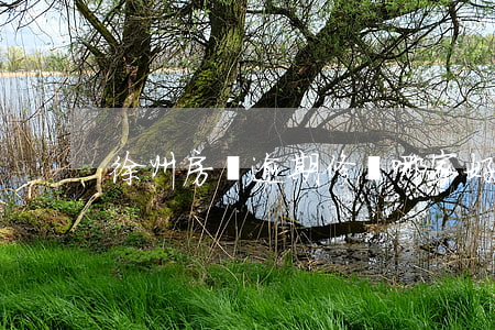 徐州房貸逾期修復哪家好