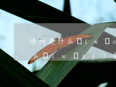 徐州是什么網(wǎng)貸催收(徐州是什么網(wǎng)貸催收的)