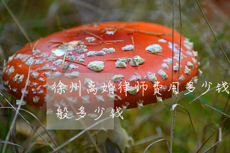 徐州离婚律师费用多少钱(离婚案件律师费一般多少钱) 徐州离婚律师费用多少钱(离婚案件律师费一般多少钱)