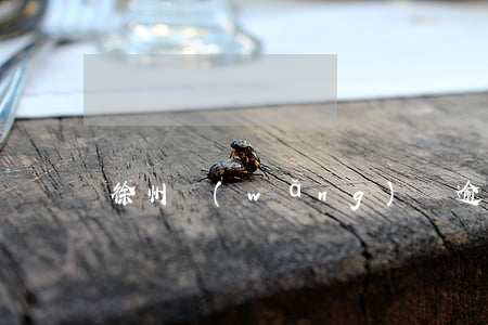 徐州網(wǎng)貸逾期修復公司